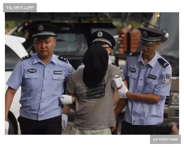 成功逮捕一名涉嫌网络威胁英超球员家属的嫌疑人 成功逮捕一名涉嫌网络威胁英超球员家属的嫌疑人